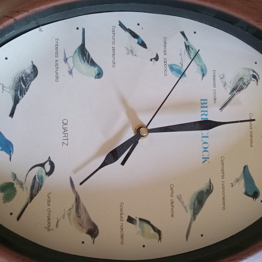 Youngtown BIRD CLOCK